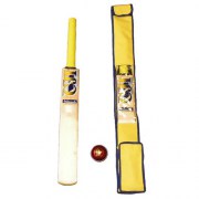 CJI_Training_Bat_4f579743cb39b